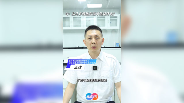 基孔肯雅熱+登革熱！會(huì)人傳人嗎？重慶人如何驅(qū)蚊？
